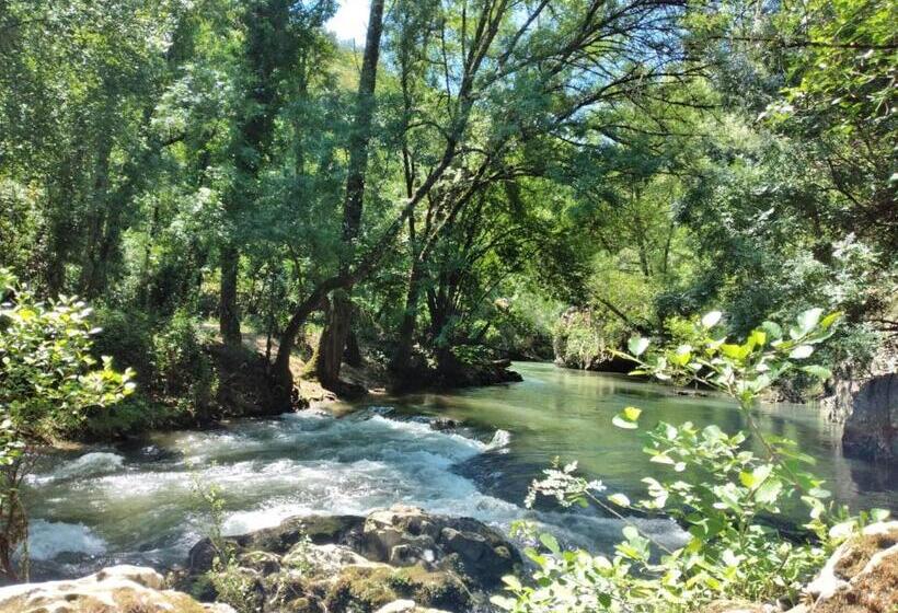 بنسيون Casa Fialli