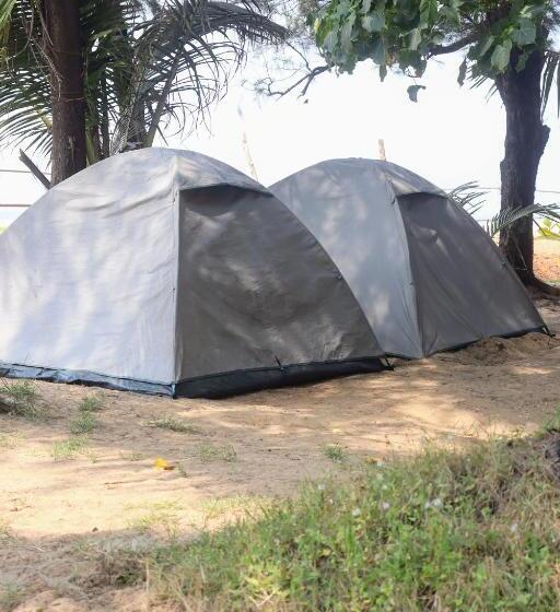 膳宿费 Coconut Tree Cafe