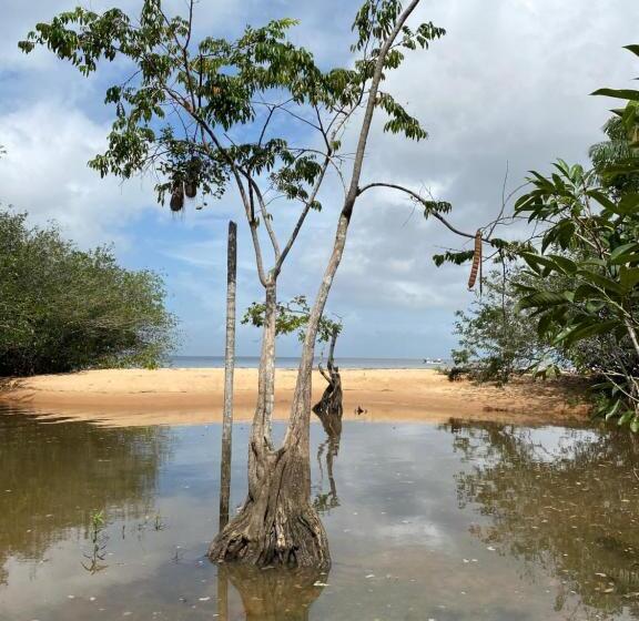 Пансион Farol Shaw / Shaw Lighthouse