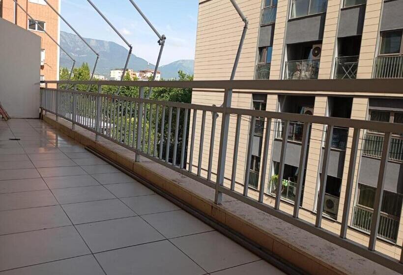 פנסיון Friends Hostel