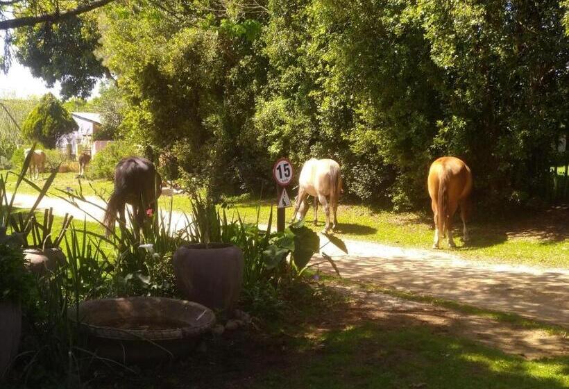 פנסיון Grauhaus