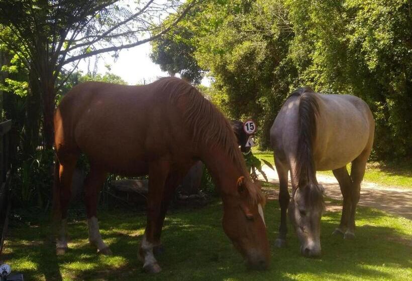 פנסיון Grauhaus