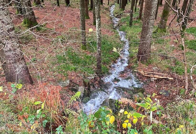 بنسيون Maison D Hôtes Chaleureuse En Montagne, Proche De La Bresse Hohneck Et Gérardmer, Idéale Pour Randon
