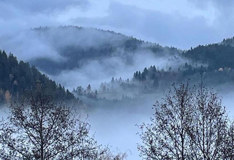 بنسيون Maison D Hôtes Chaleureuse En Montagne, Proche De La Bresse Hohneck Et Gérardmer, Idéale Pour Randon