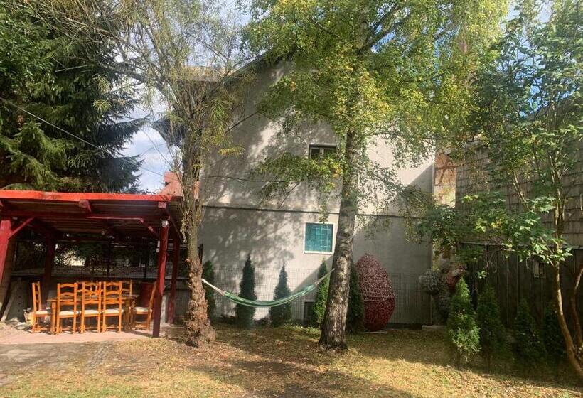 Пансион Hypnotic Villa Predeal