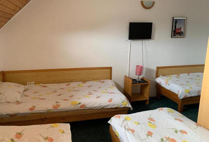 Пансион Hypnotic Villa Predeal