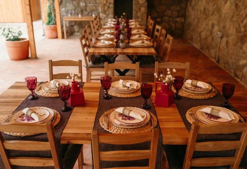 Пансион Purplevague