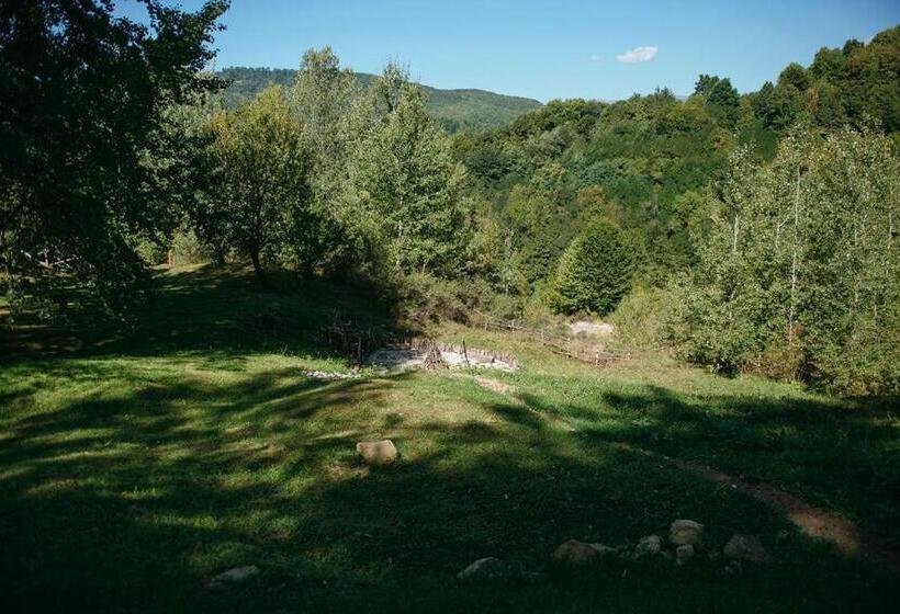 Пансион Purplevague