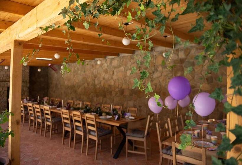 Пансион Purplevague