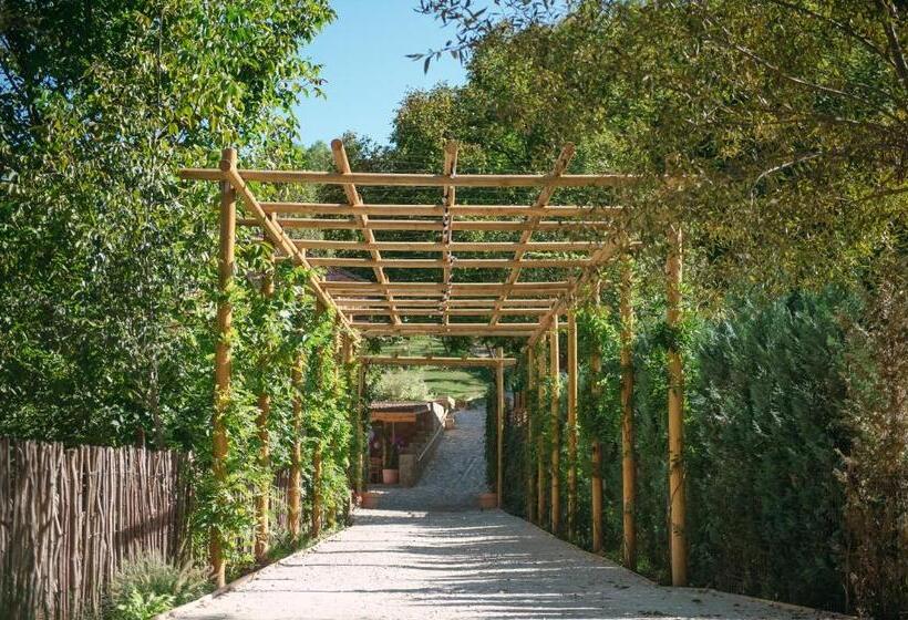 Пансион Purplevague