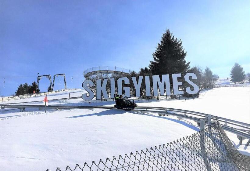 Пансион Skigyimes Guesthouse