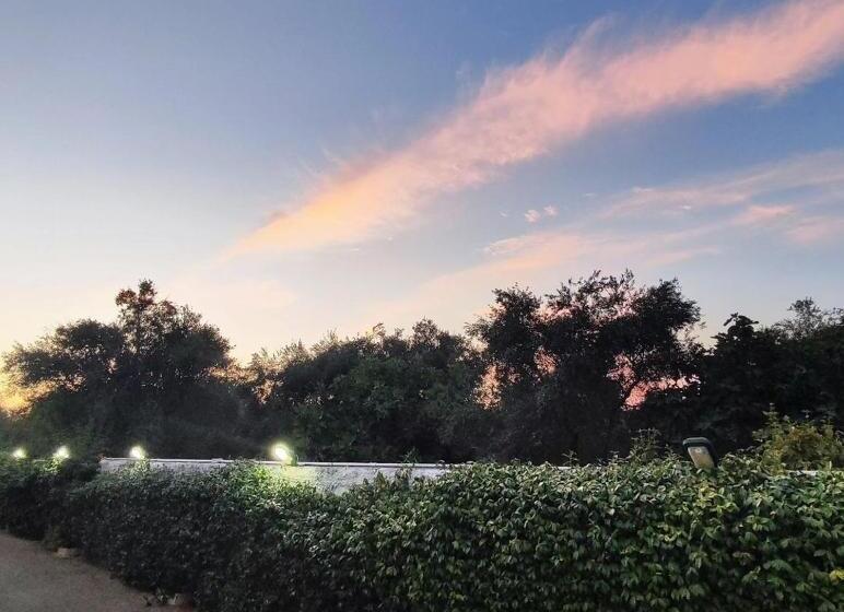 פנסיון Spazio 8x8