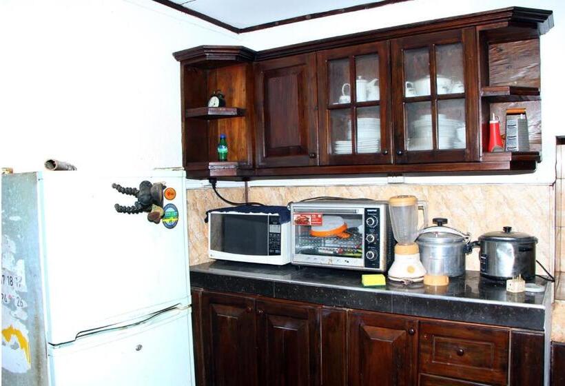 פנסיון Villa Hasi