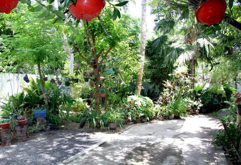 פנסיון Villa Hasi