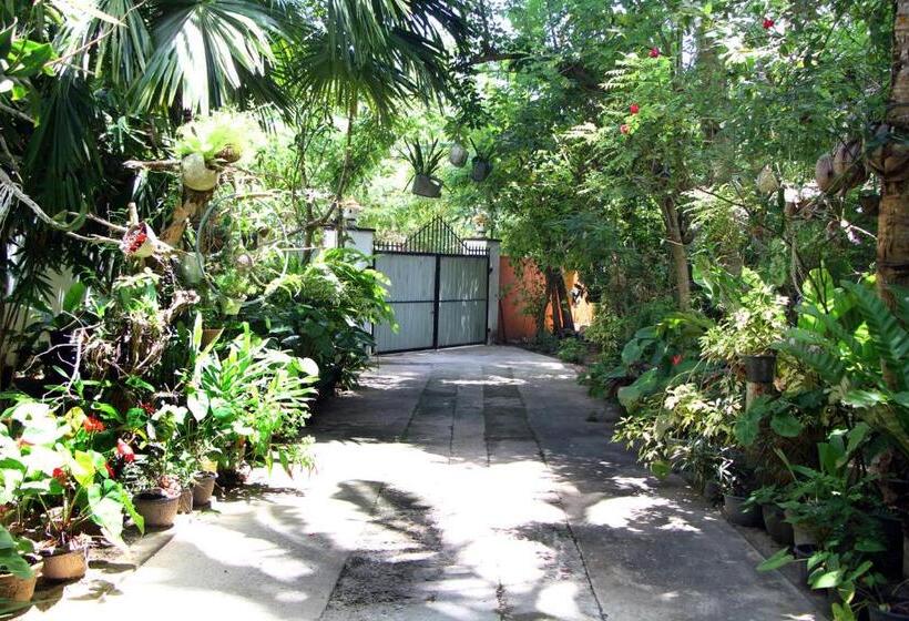 פנסיון Villa Hasi