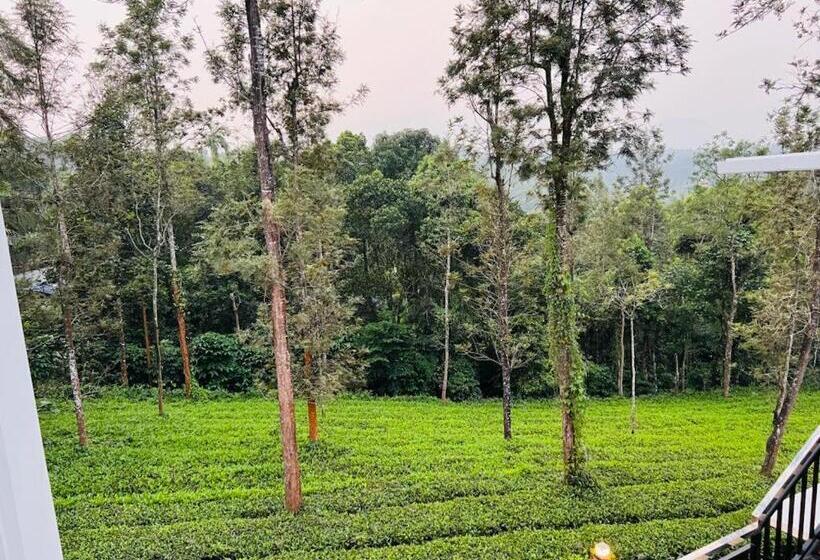 Курорт Pabis Luxurious Stay