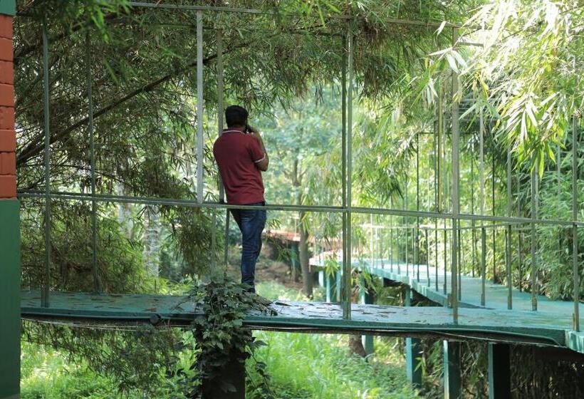 Vythiri Riverwood Resort By Masika Stays