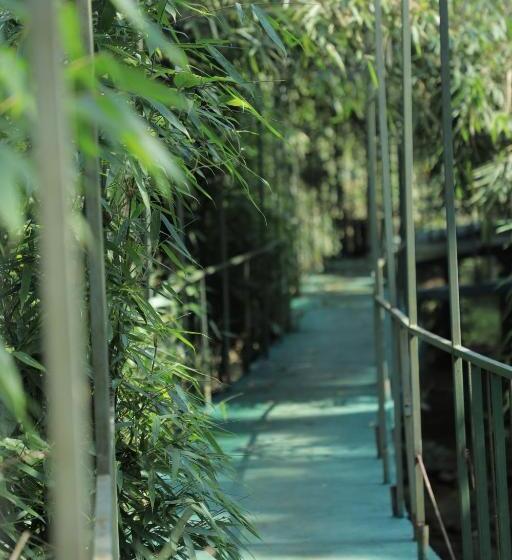 Vythiri Riverwood Resort By Masika Stays