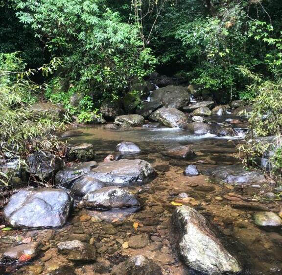 Vythiri Riverwood Resort By Masika Stays