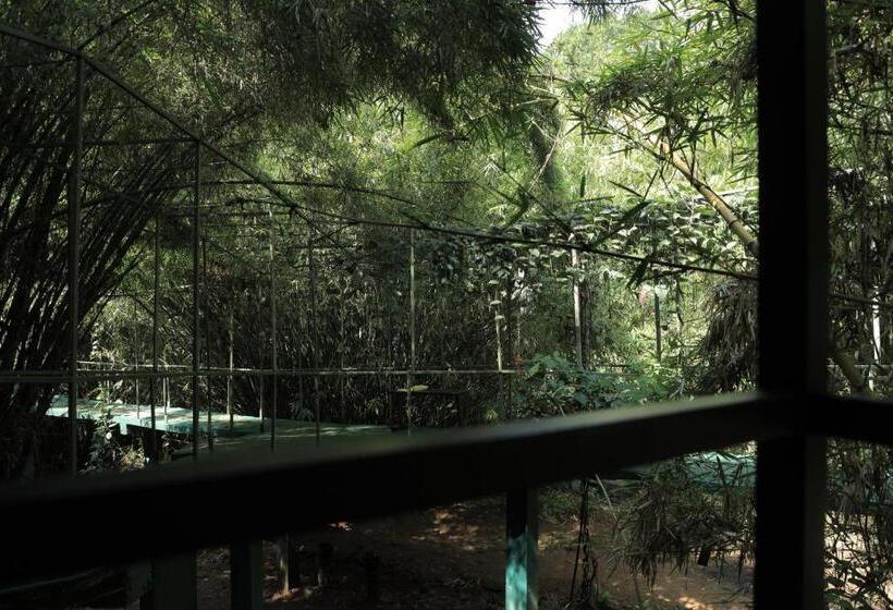 Vythiri Riverwood Resort By Masika Stays