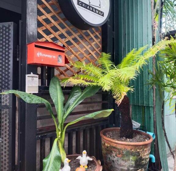 旅馆 Cody Backpackers Cnx