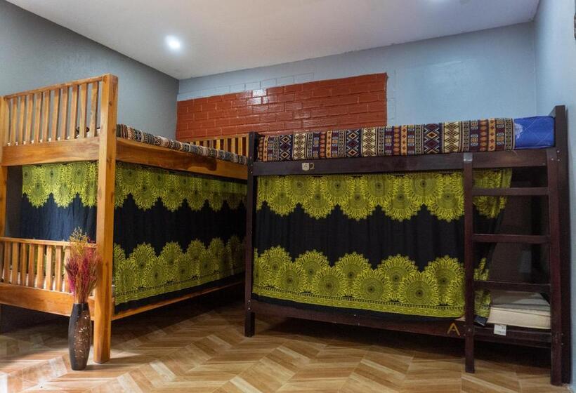 هاستل La Casa De Jardin