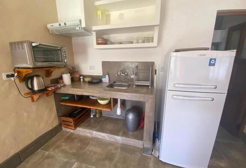 旅馆 Posada Del Musiquero