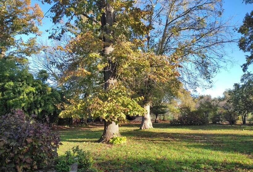 B&b Il Giardino Segreto