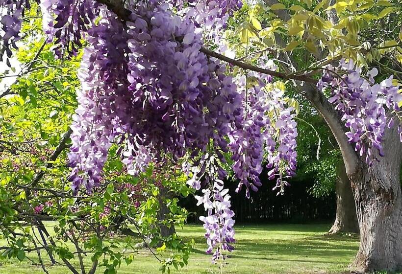 B&b Il Giardino Segreto