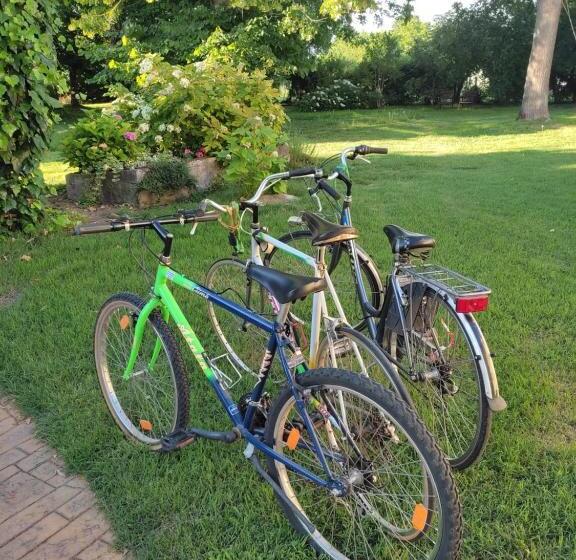 B&b Il Giardino Segreto