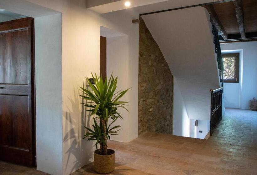 住宿加早餐 Dimidium