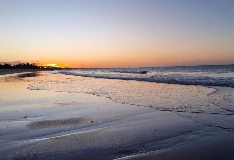 住宿加早餐  Vila Dalva