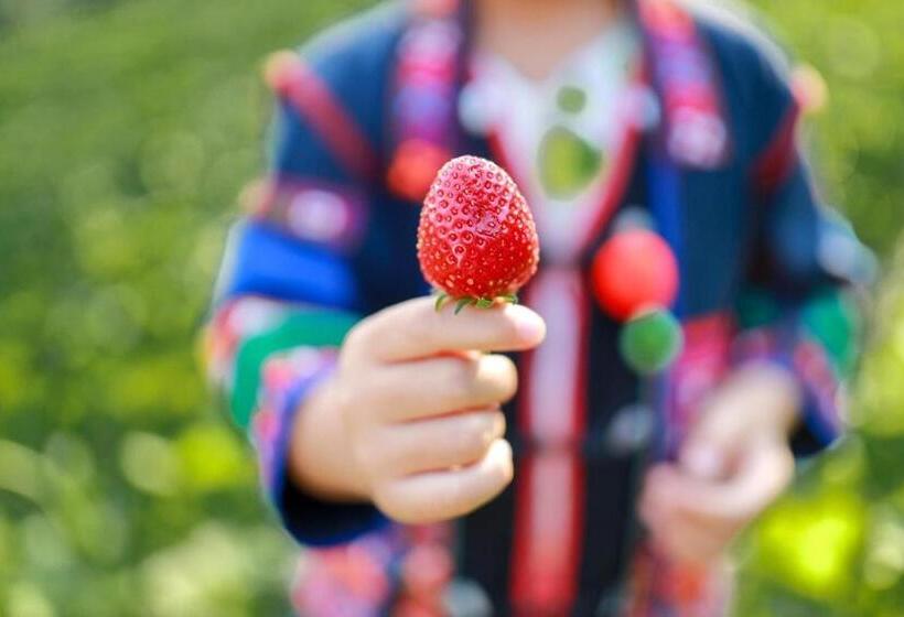 Отель สวนส่อผ่า&ฟาร์มสเตย์