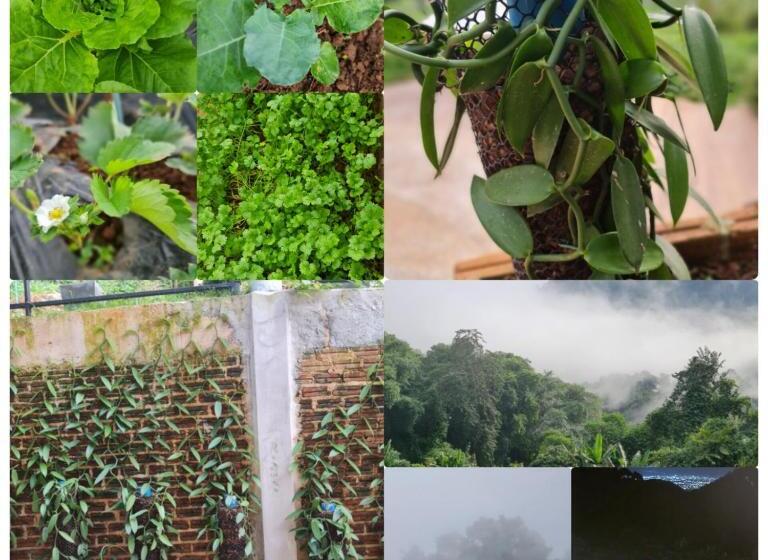 Отель สวนส่อผ่า&ฟาร์มสเตย์