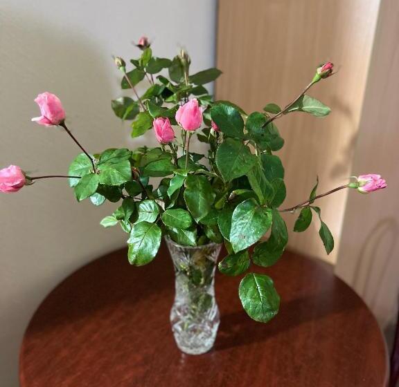 Otel бобри плюс