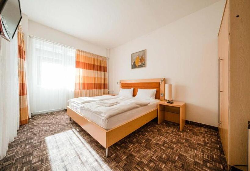 فندق Alpina Retezat