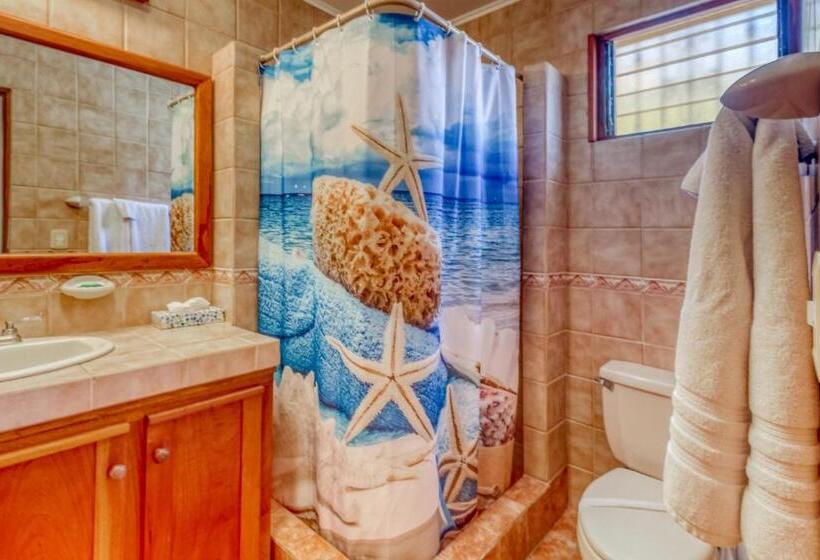 ホテル Bahia Pez Vela Villa Combo Units 18 And 19