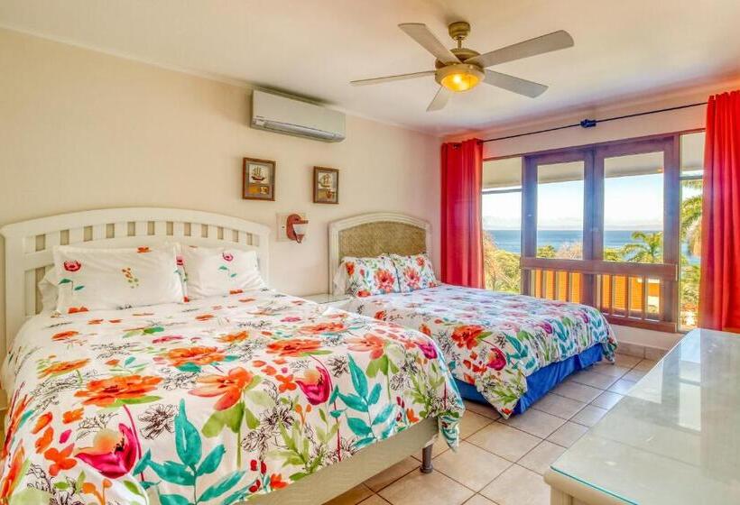 ホテル Bahia Pez Vela Villa Combo Units 18 And 19