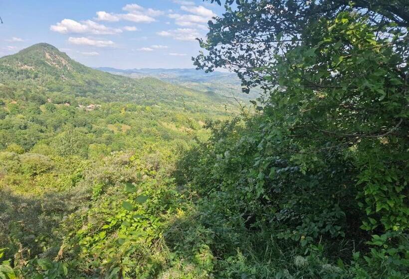 בית מלון כפרי Big Bear Hunting Lodge