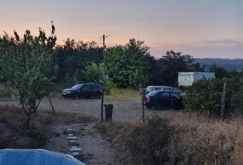 בית מלון כפרי Big Bear Hunting Lodge