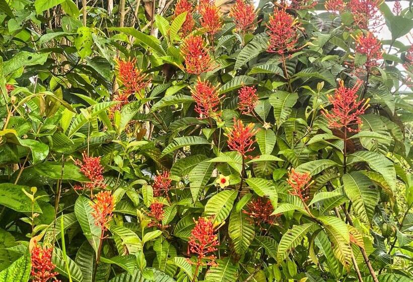 فندق Brahman Bungalows On Pavones Point