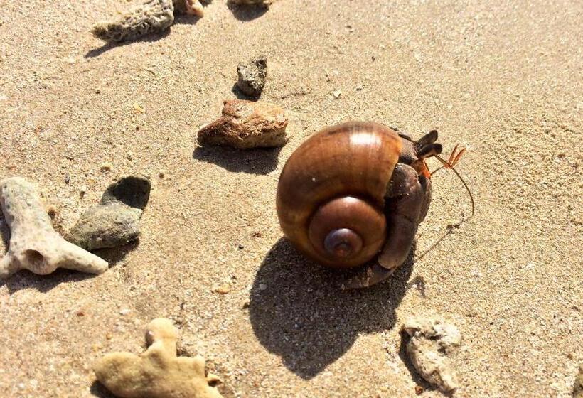 酒店 Cape Pakarang Wow Wild Wellness Escapes