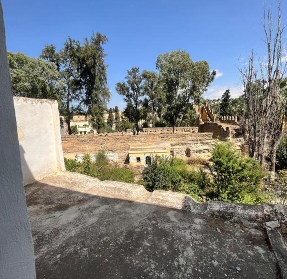 هتل کپسول Du Parc