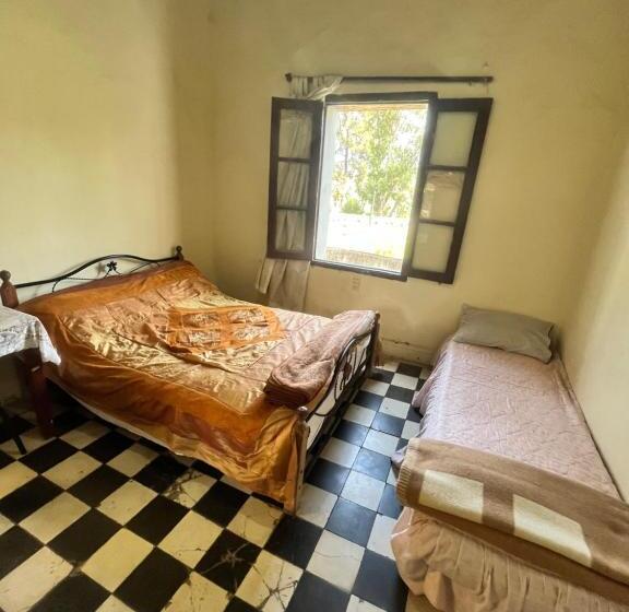 هتل کپسول Du Parc