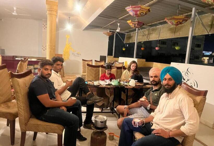 בית מלון כפרי Dara & Camel Safari