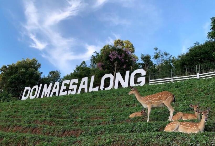 Отель ดอยหมอกดอกไม้รีสอร์ท Doimok Dokmai Resort