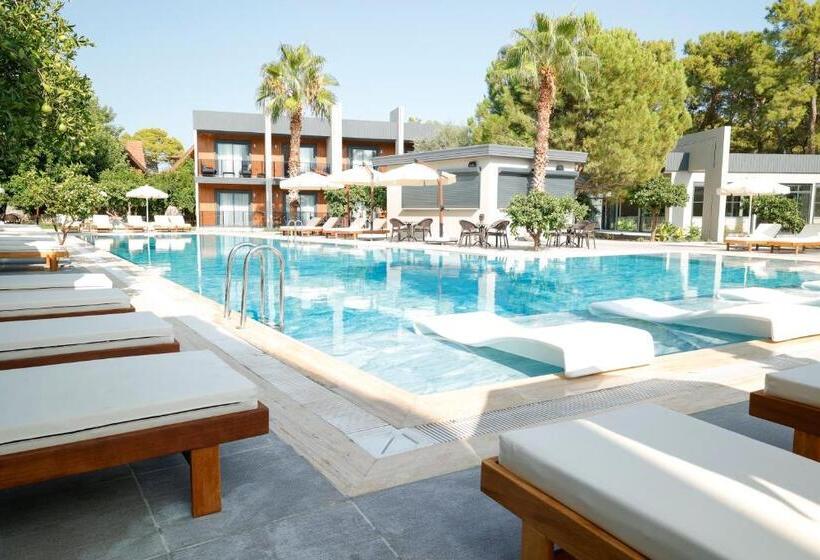 Отель Forest In