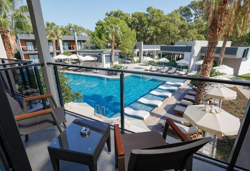 Отель Forest In