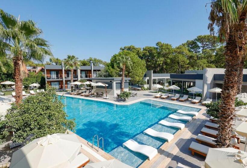 Отель Forest In