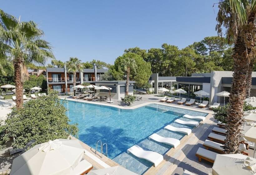 Отель Forest In